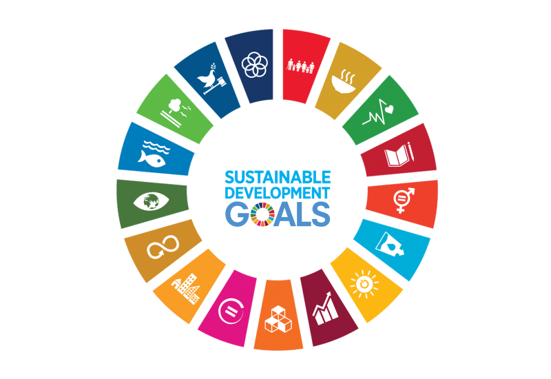 SDG wheel