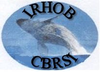 IRHOB