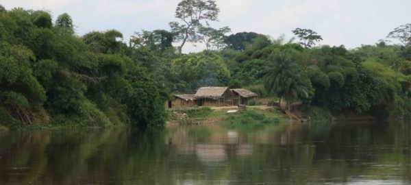 Paysage île aux singes, Kisangani