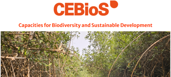 Screenshot 2026-02-25 120116